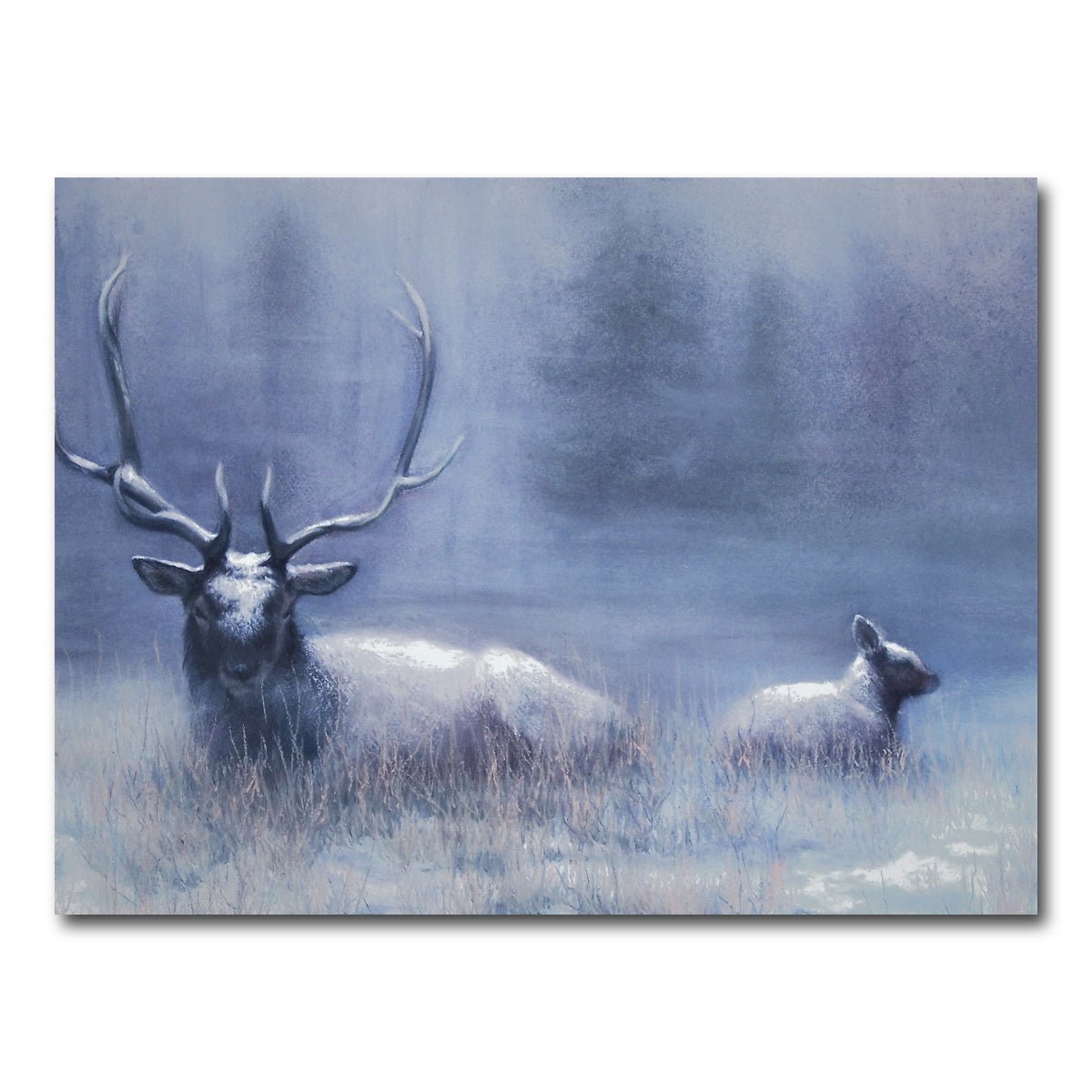 AUTO-MOCKUP WHITE | Bull Elk & Calf Blue | 1 Piece | Gallery Wrap Canvas | group=4x3