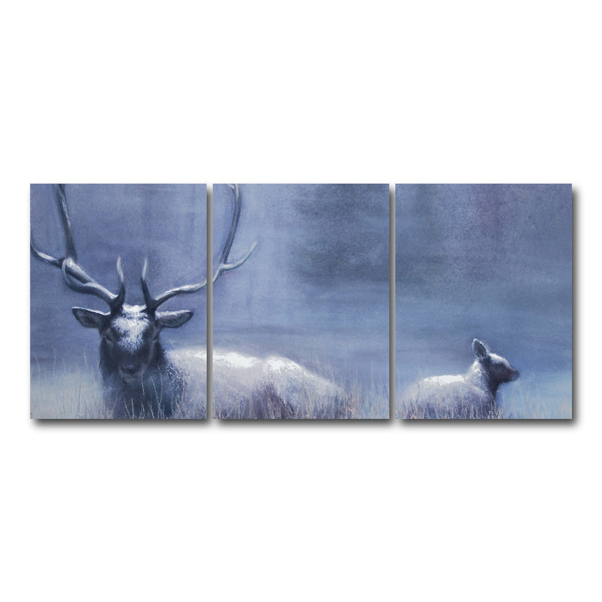 AUTO-MOCKUP WHITE | Bull Elk & Calf Blue | 3 Piece | Gallery Wrap Canvas | group=18x24