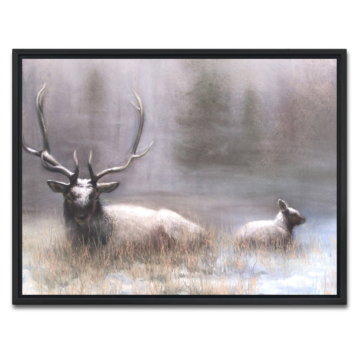 AUTO-MOCKUP WHITE | Bull Elk & Calf | 1 Piece | Black Framed Canvas | group=4x3