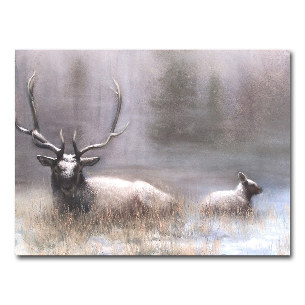 AUTO-MOCKUP WHITE | Bull Elk & Calf | 1 Piece | Gallery Wrap Canvas | group=4x3