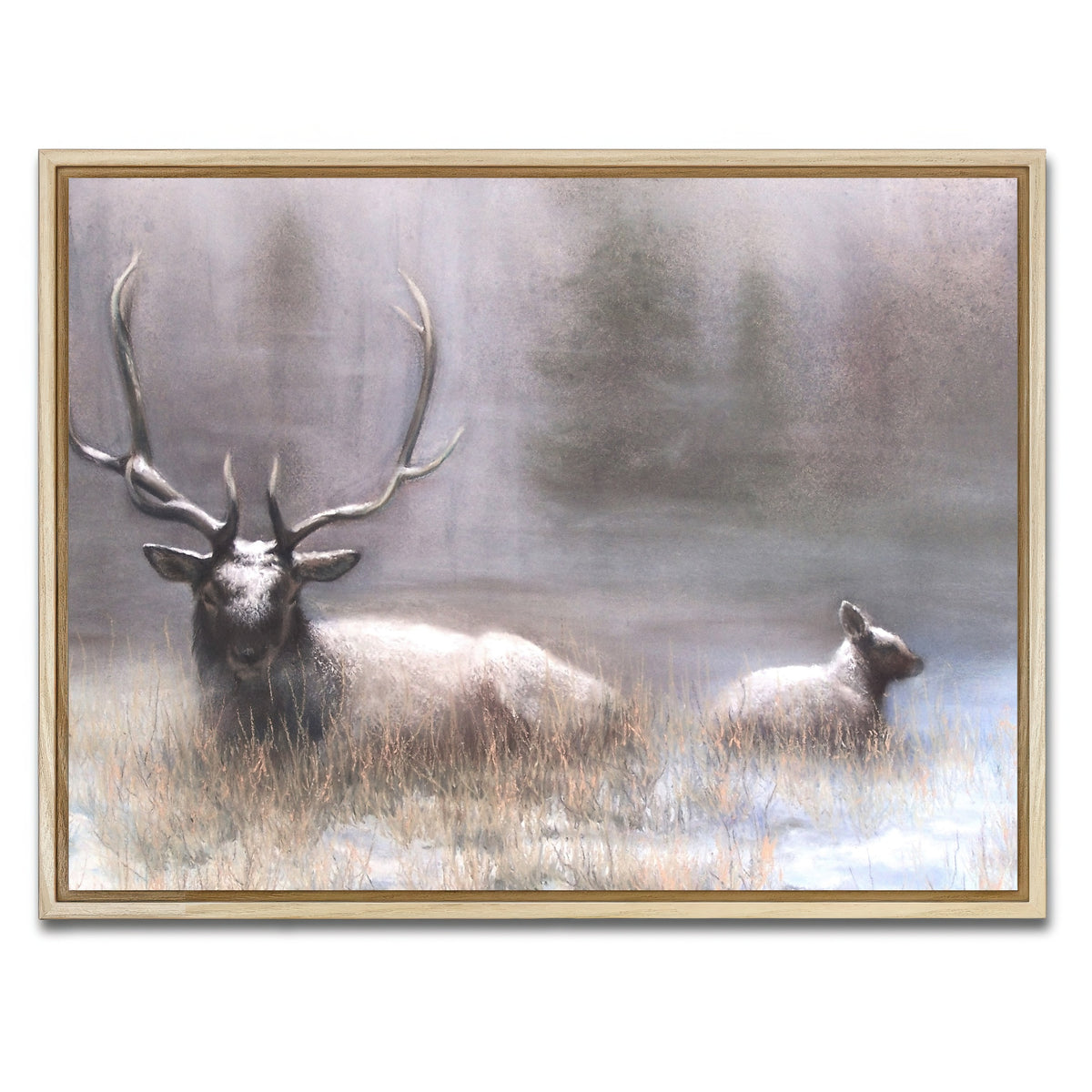AUTO-MOCKUP WHITE | Bull Elk & Calf | 1 Piece | Natural Framed Canvas | group=4x3