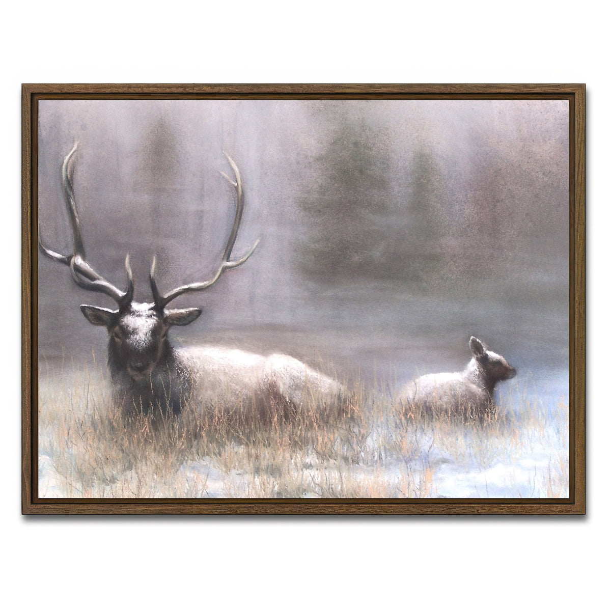 AUTO-MOCKUP WHITE | Bull Elk & Calf | 1 Piece | Walnut Framed Canvas | group=4x3