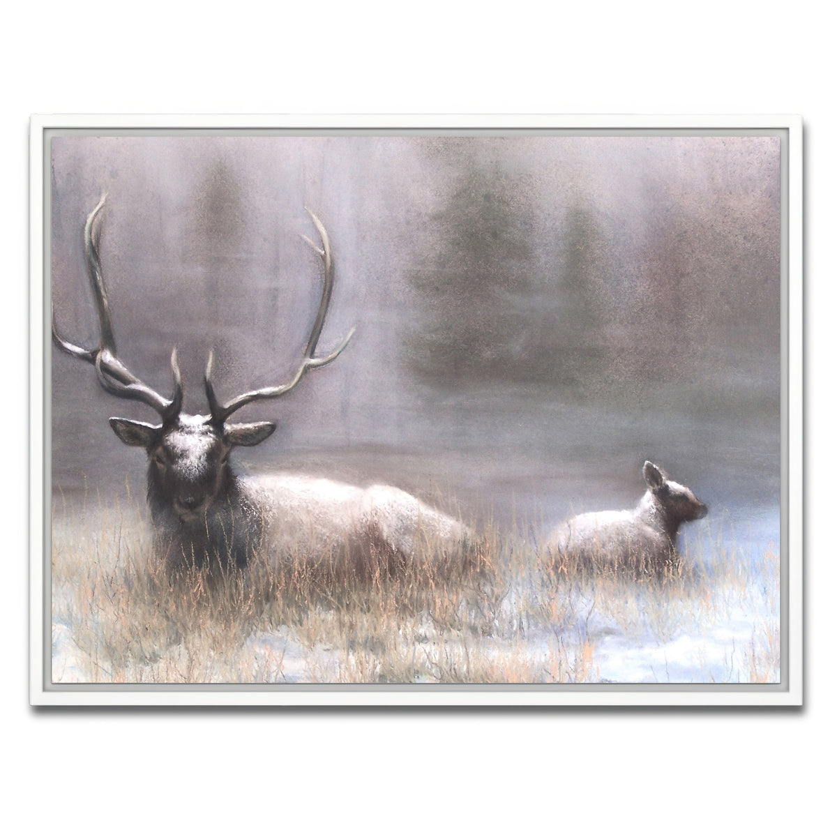 AUTO-MOCKUP WHITE | Bull Elk & Calf | 1 Piece | White Framed Canvas | group=4x3