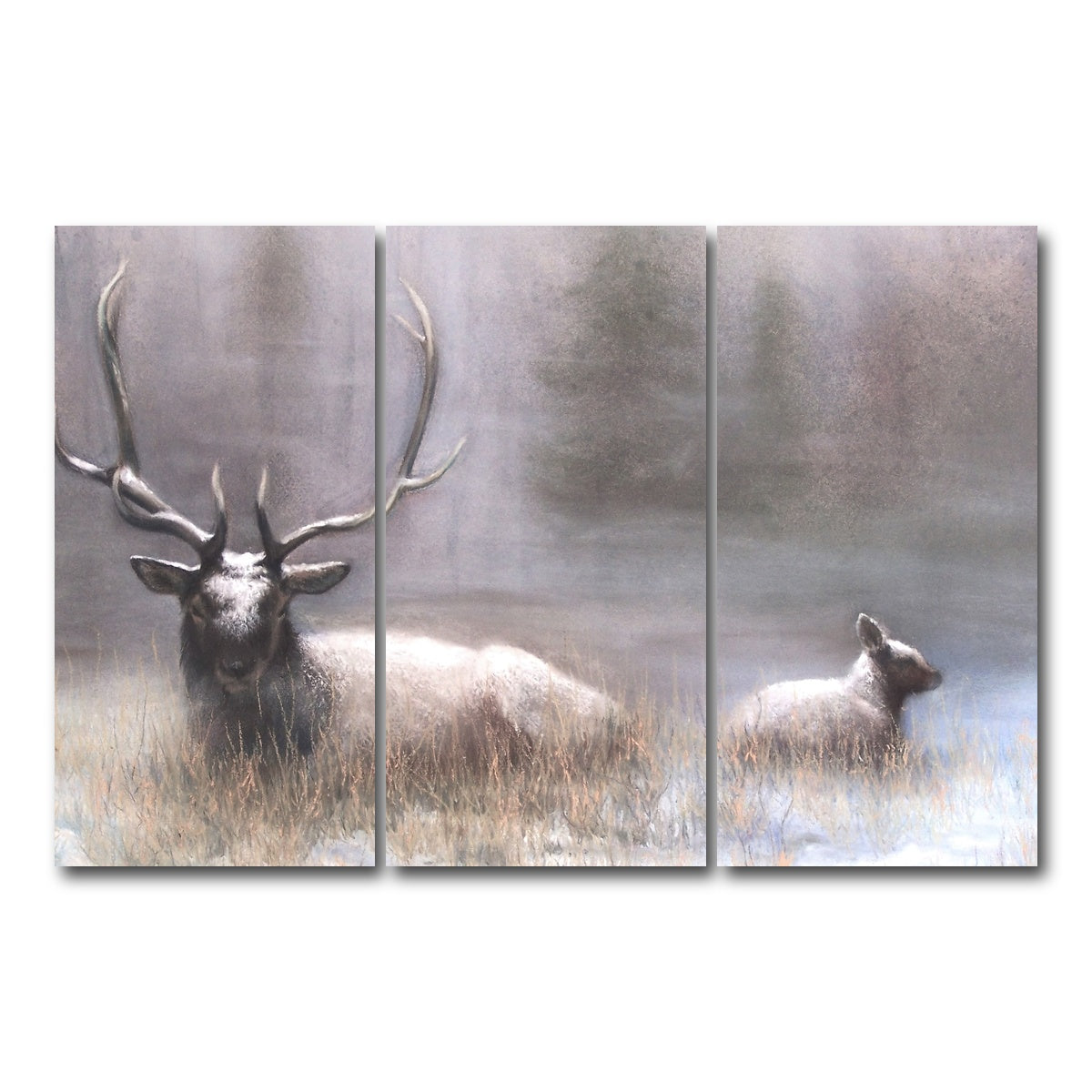 AUTO-MOCKUP WHITE | Bull Elk & Calf | 3 Piece | Gallery Wrap Canvas | group=12x24