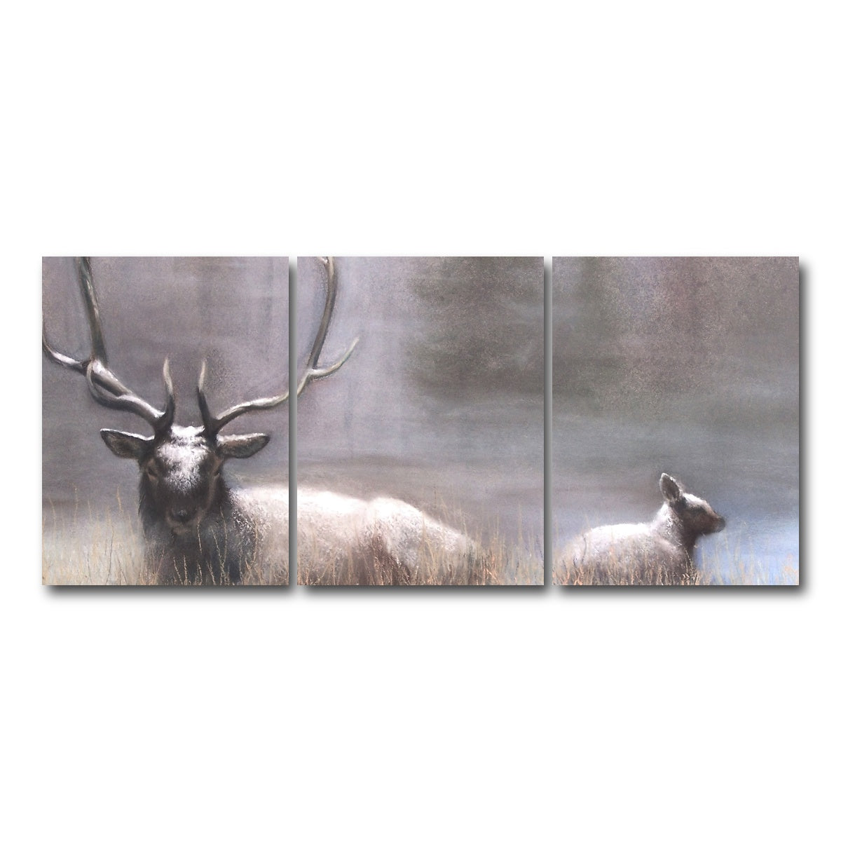 AUTO-MOCKUP WHITE | Bull Elk & Calf | 3 Piece | Gallery Wrap Canvas | group=18x24
