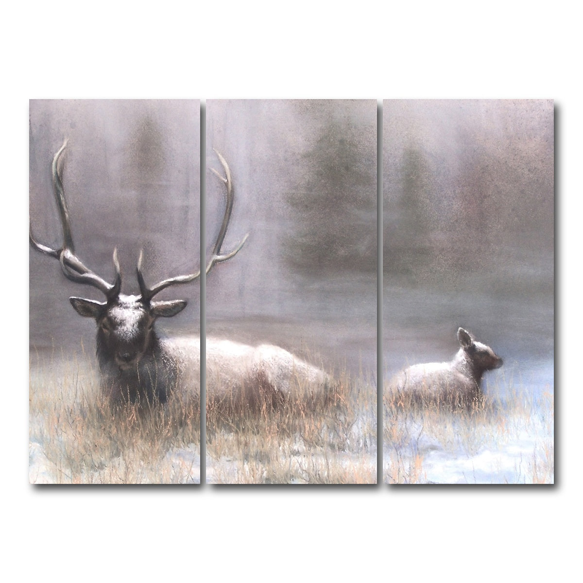 AUTO-MOCKUP WHITE | Bull Elk & Calf | 3 Piece | Gallery Wrap Canvas | group=8x18