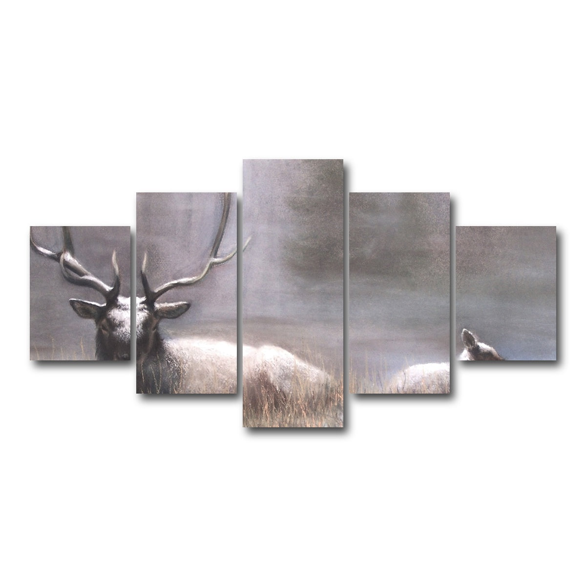 AUTO-MOCKUP WHITE | Bull Elk & Calf | 5 Piece | Gallery Wrap Canvas | group=5_short