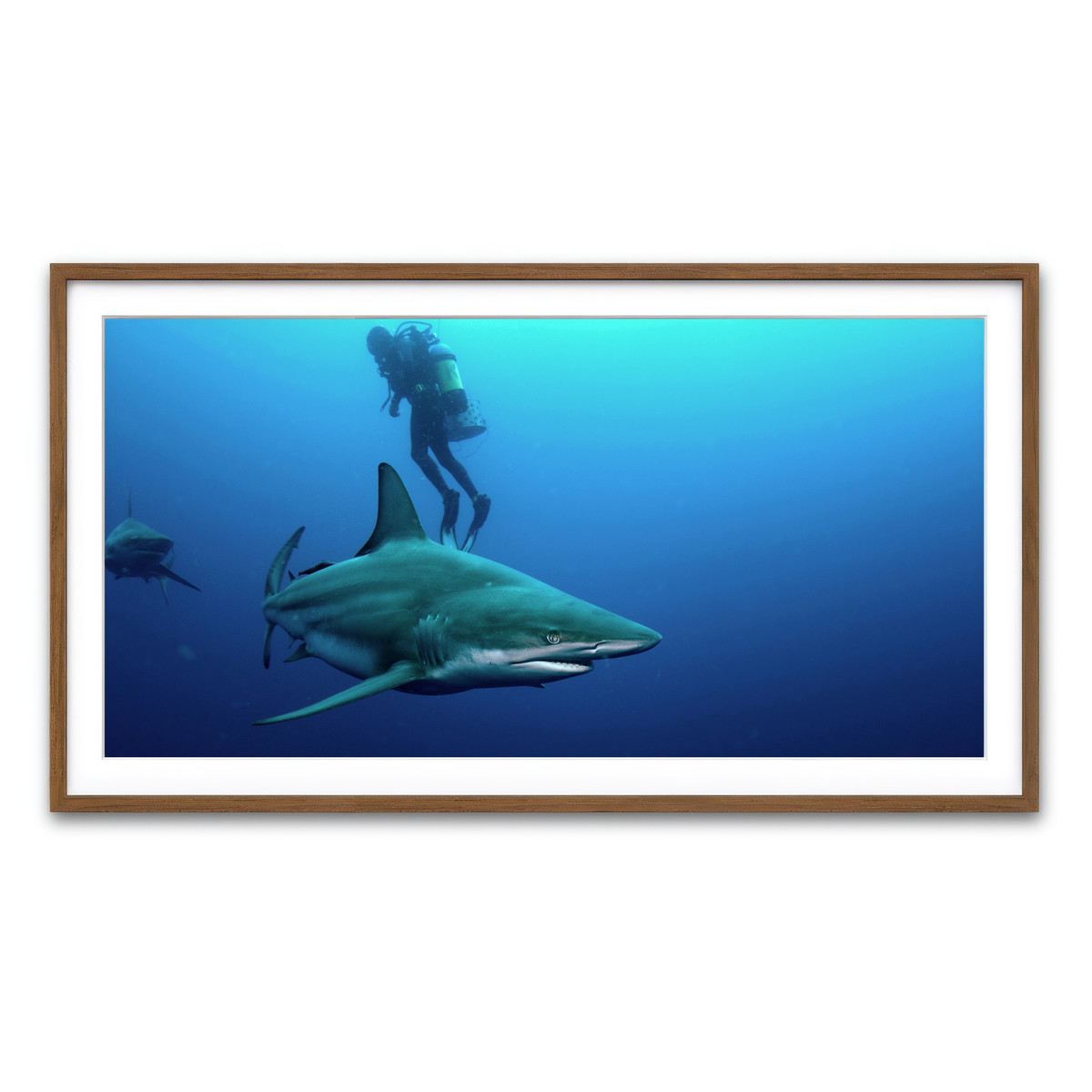 Framed Print 2x1 Walnut