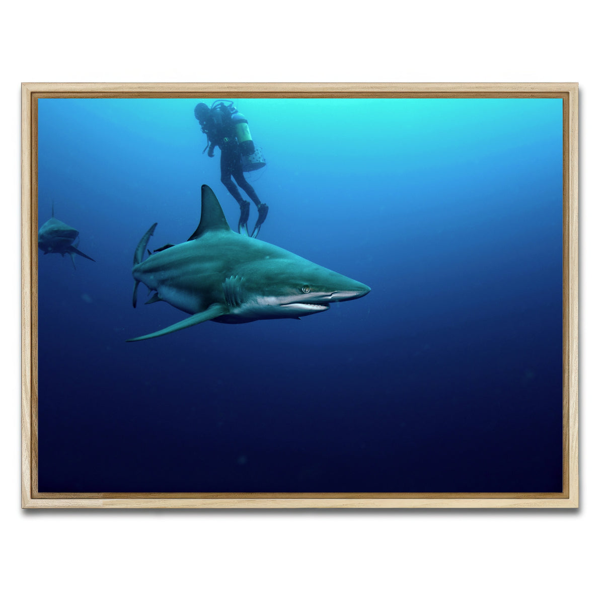 AUTO-MOCKUP WHITE | Bull Shark & Diver | 1 Piece | Natural Framed Canvas | group=4x3