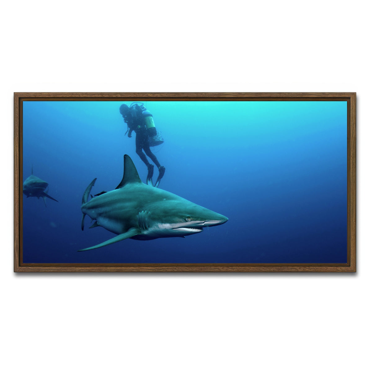 AUTO-MOCKUP WHITE | Bull Shark & Diver | 1 Piece | Walnut Framed Canvas | group=2x1