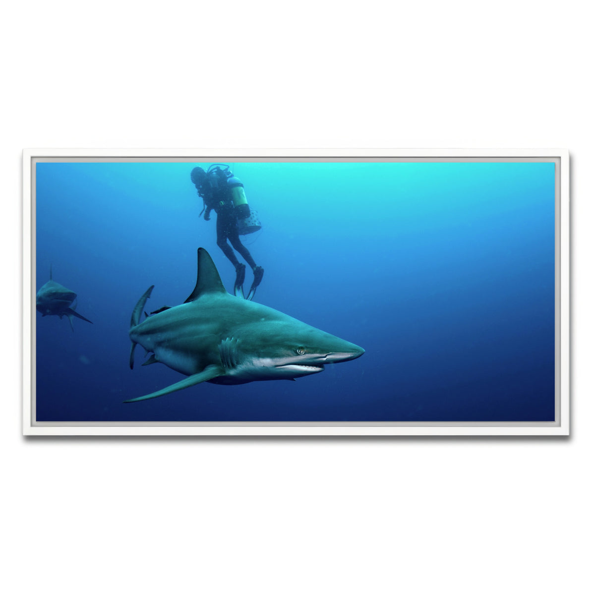 AUTO-MOCKUP WHITE | Bull Shark & Diver | 1 Piece | White Framed Canvas | group=2x1