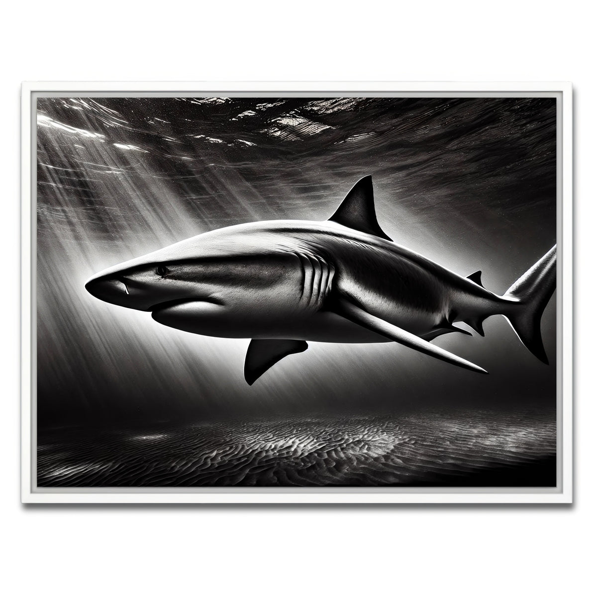 AUTO-MOCKUP WHITE | Bull Shark Grayscale | 1 Piece | White Framed Canvas | group=4x3