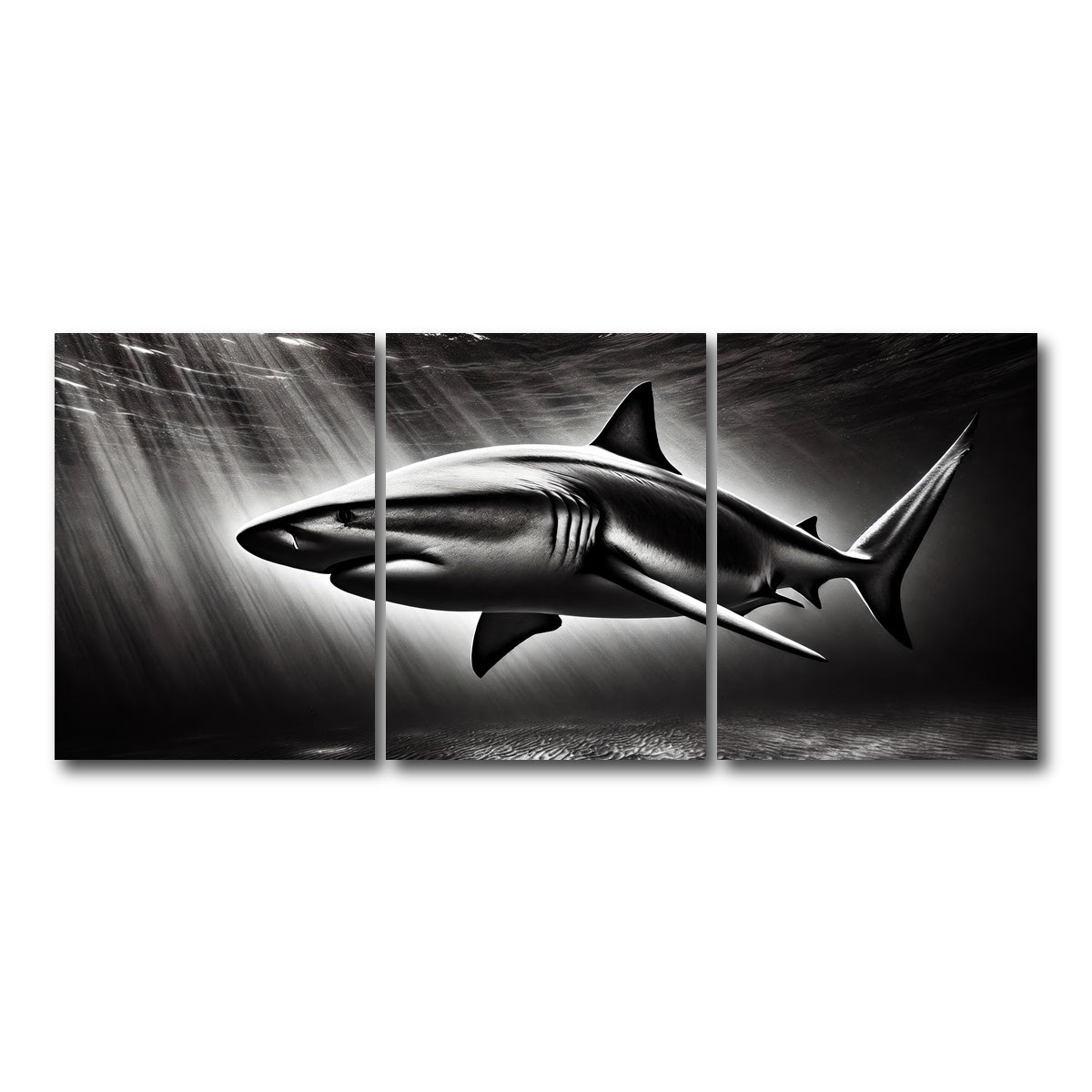 AUTO-MOCKUP WHITE | Bull Shark Grayscale | 3 Piece | Gallery Wrap Canvas | group=18x24