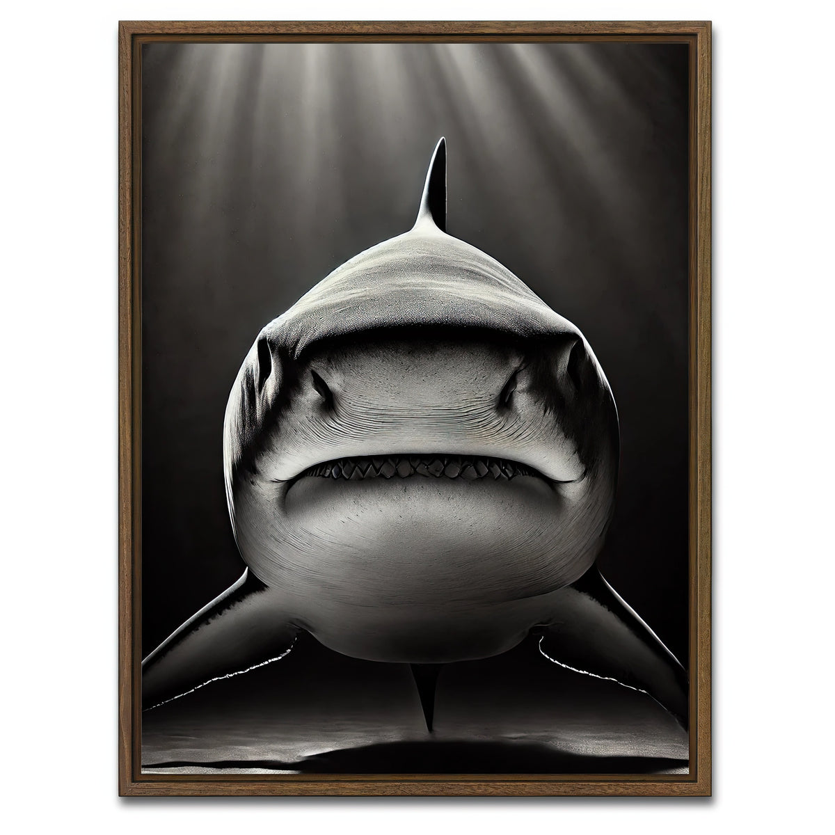 AUTO-MOCKUP WHITE | Bull Shark Head on | 1 Piece | Walnut Framed Canvas | group=3x4