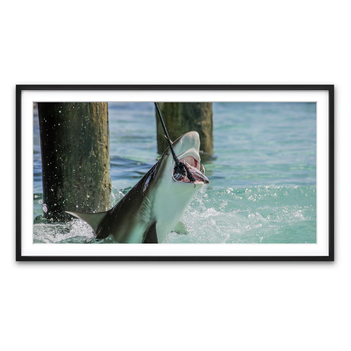 Framed Print 2x1 Black