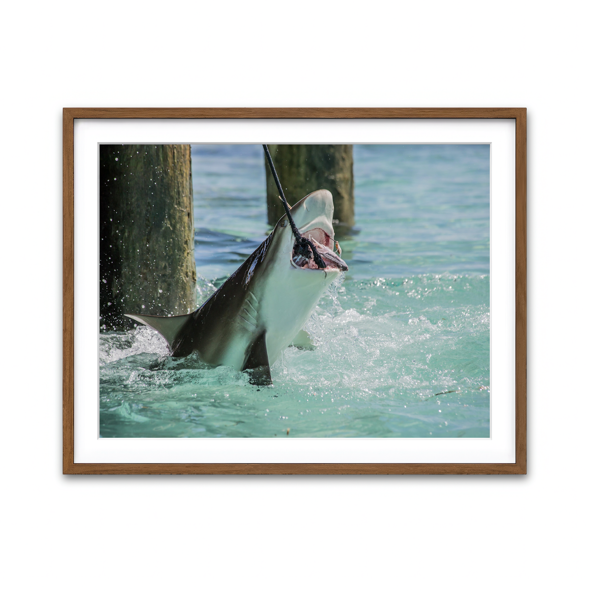 Framed Print 4x3 Walnut