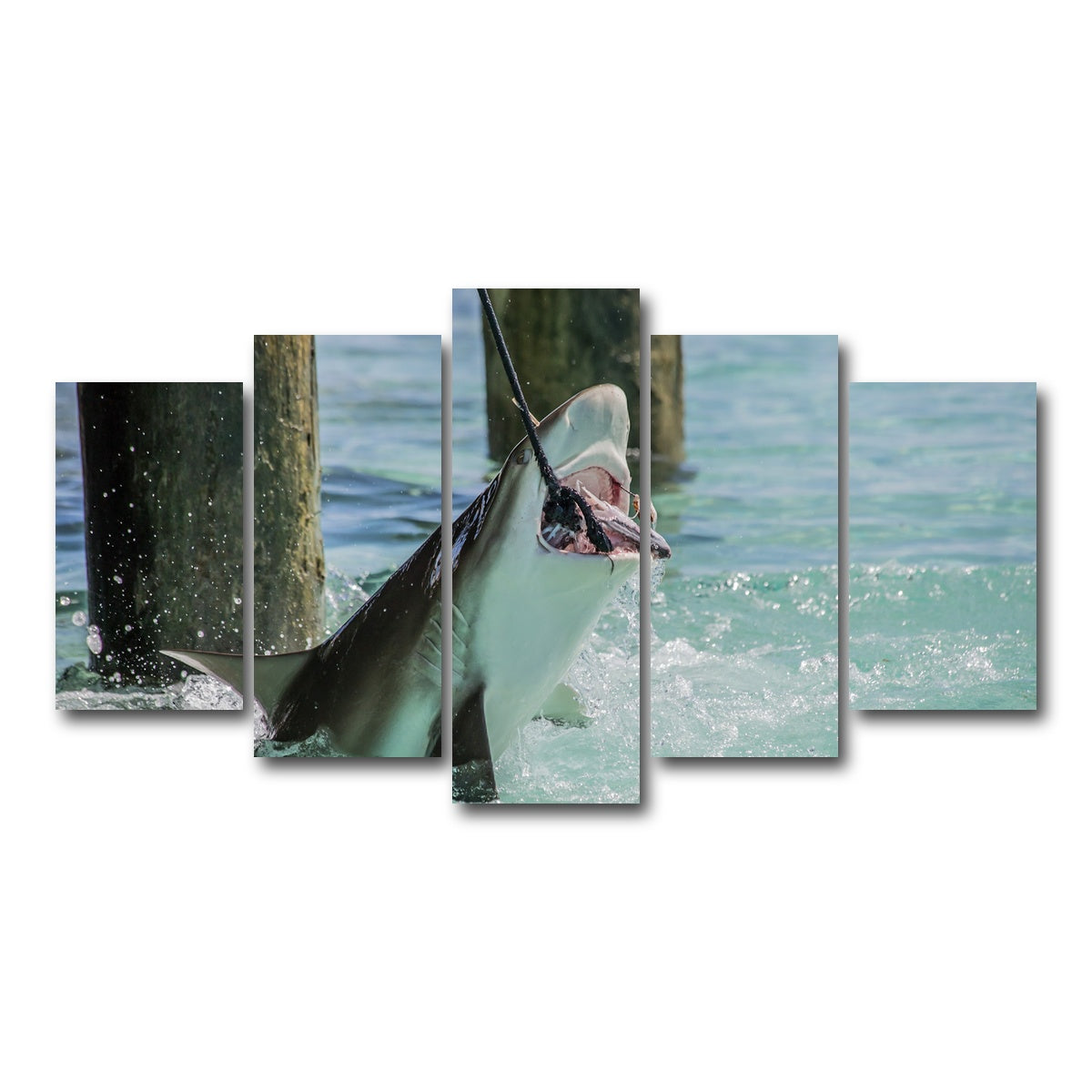 AUTO-MOCKUP WHITE | Bull Shark Snacking | 5 Piece | Gallery Wrap Canvas | group=5_normal