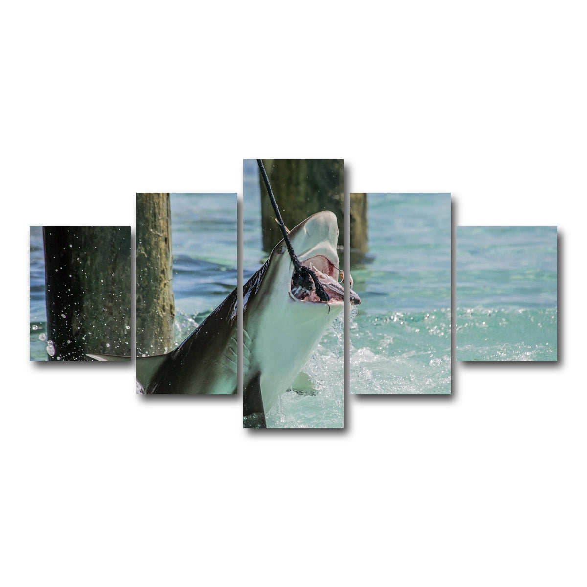 AUTO-MOCKUP WHITE | Bull Shark Snacking | 5 Piece | Gallery Wrap Canvas | group=5_short