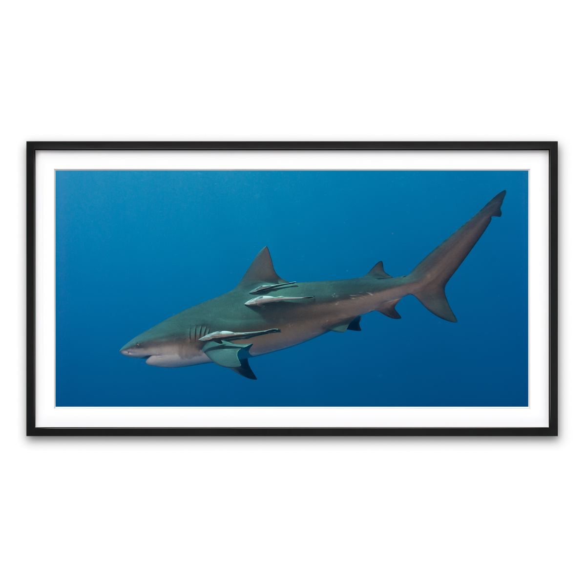 Framed Print 2x1 Black