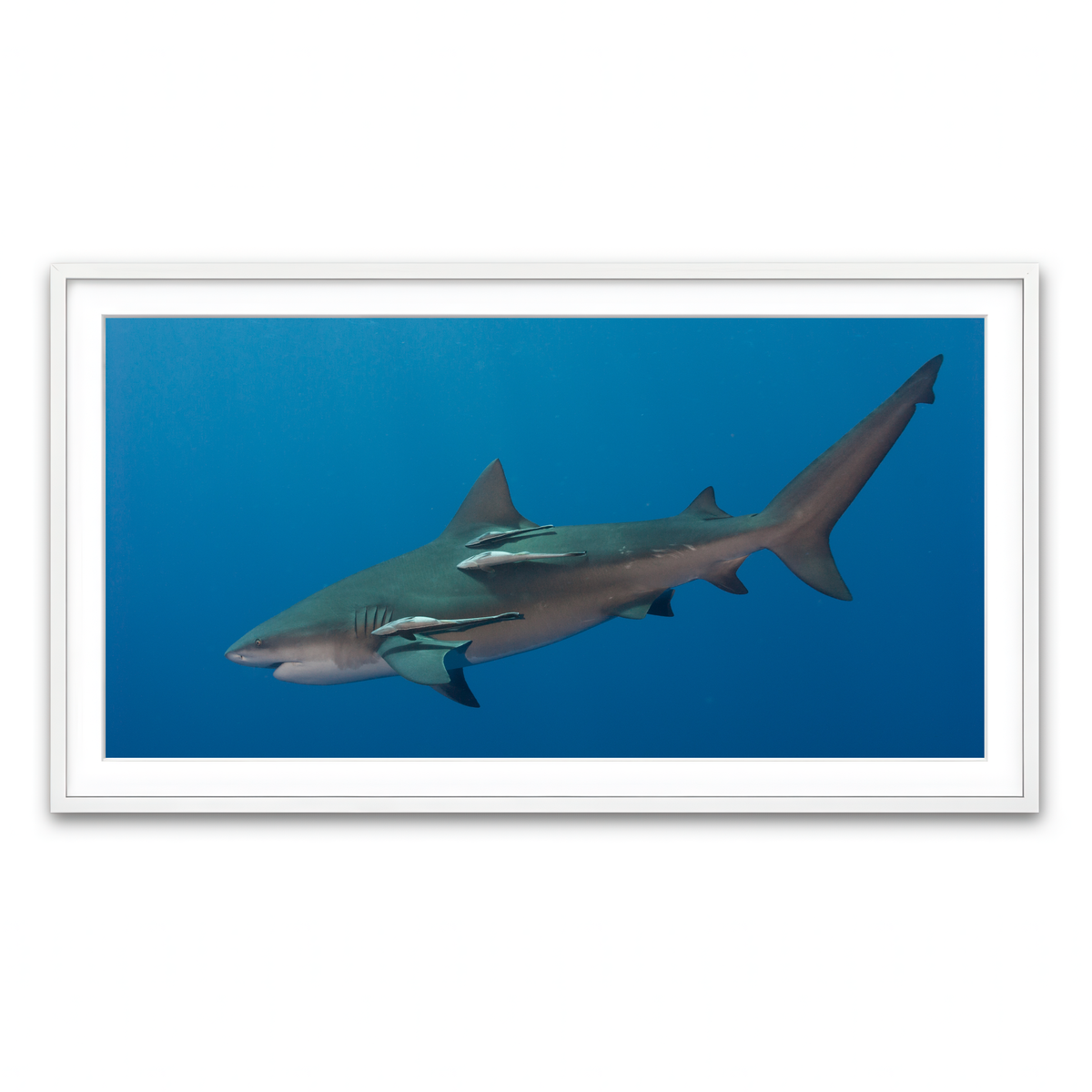 Framed Print 2x1 White