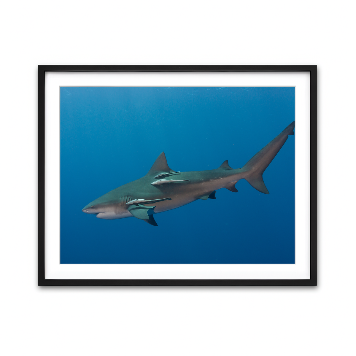 Framed Print 4x3 Black