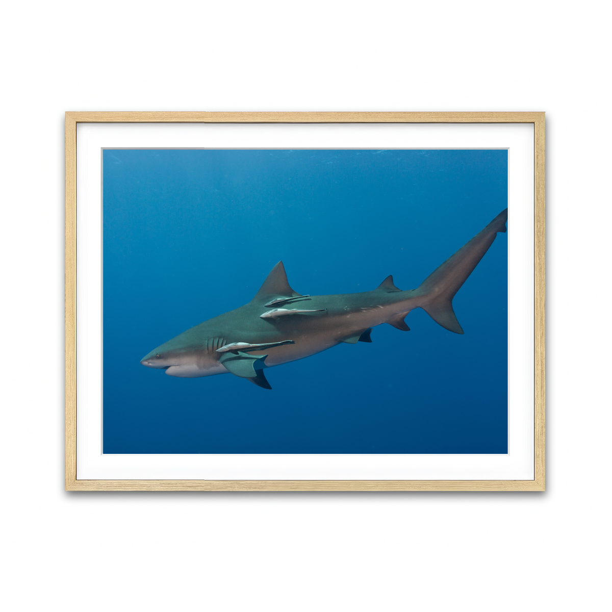 Framed Print 4x3 Natural