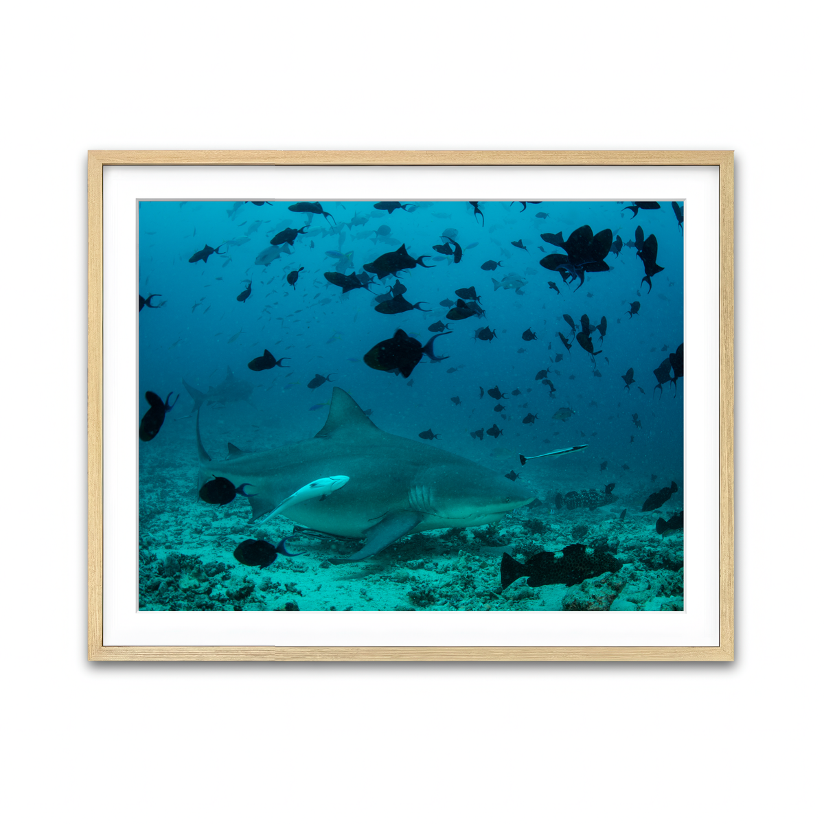 Framed Print 4x3 Natural