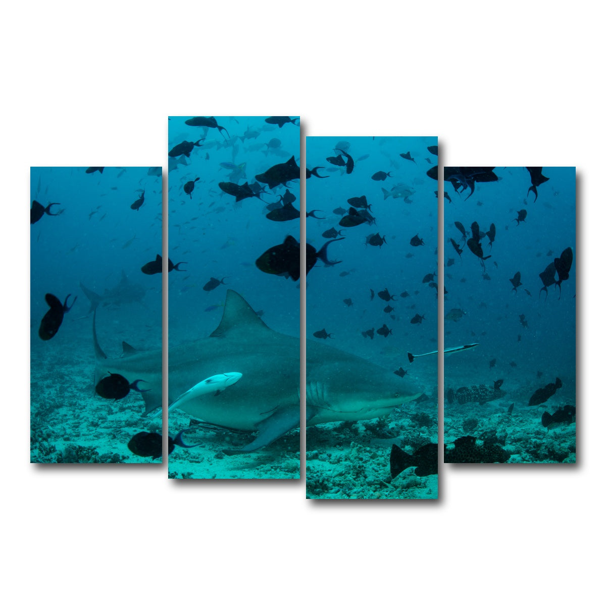 AUTO-MOCKUP WHITE | Bull Shark and Reef Fish | 4 Piece | Gallery Wrap Canvas | group=4_normal