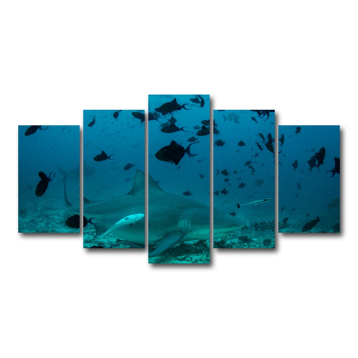 AUTO-MOCKUP WHITE | Bull Shark and Reef Fish | 5 Piece | Gallery Wrap Canvas | group=5_normal
