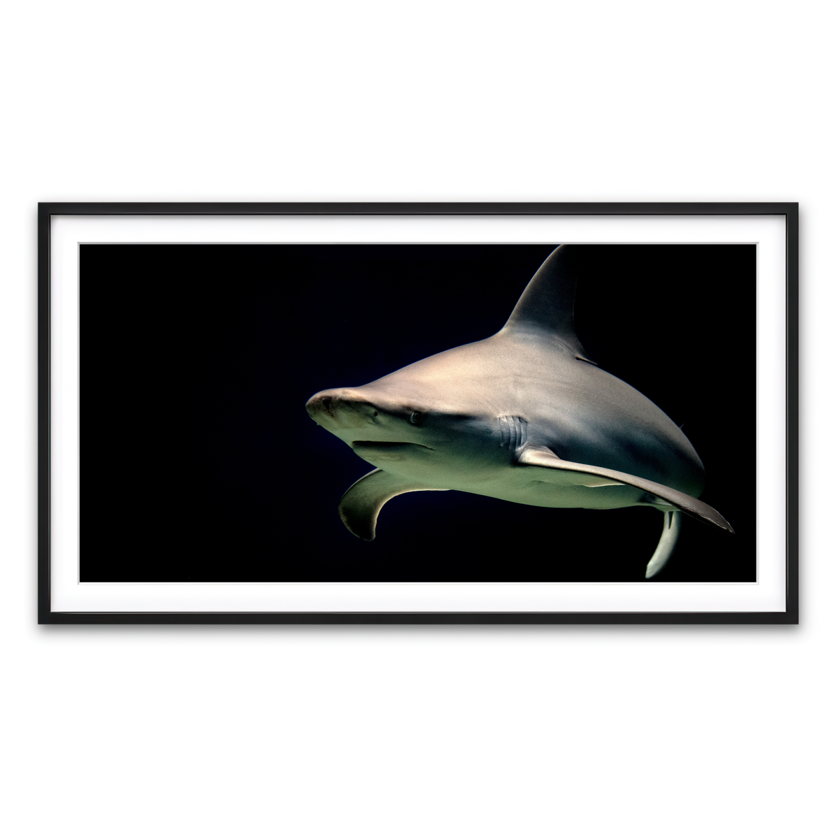 Framed Print 2x1 Black