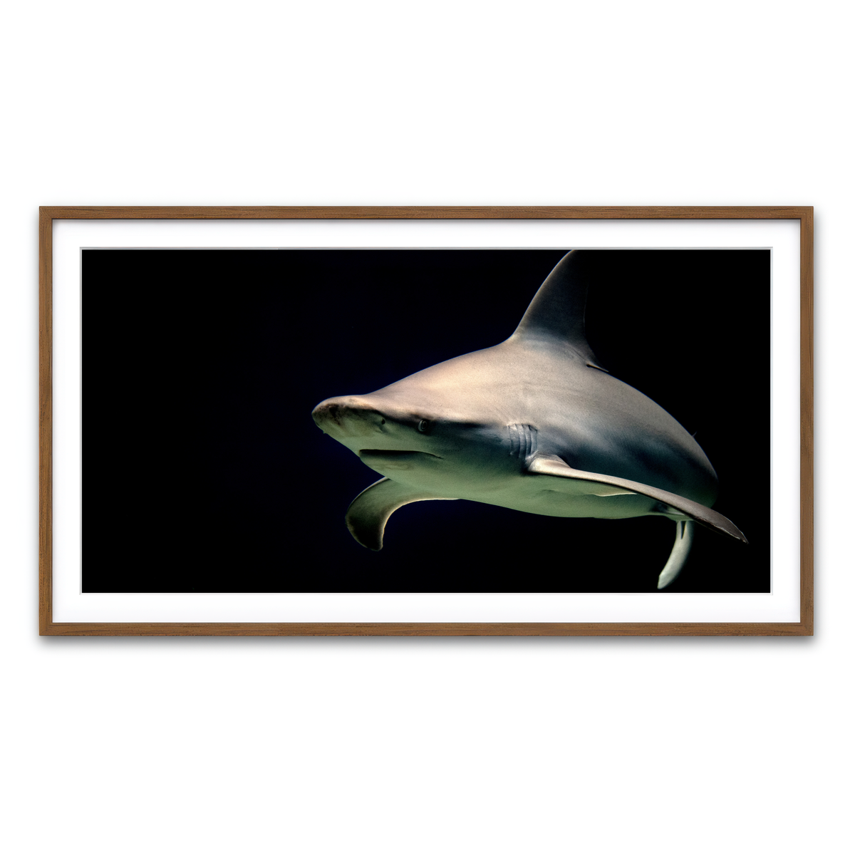 Framed Print 2x1 Walnut