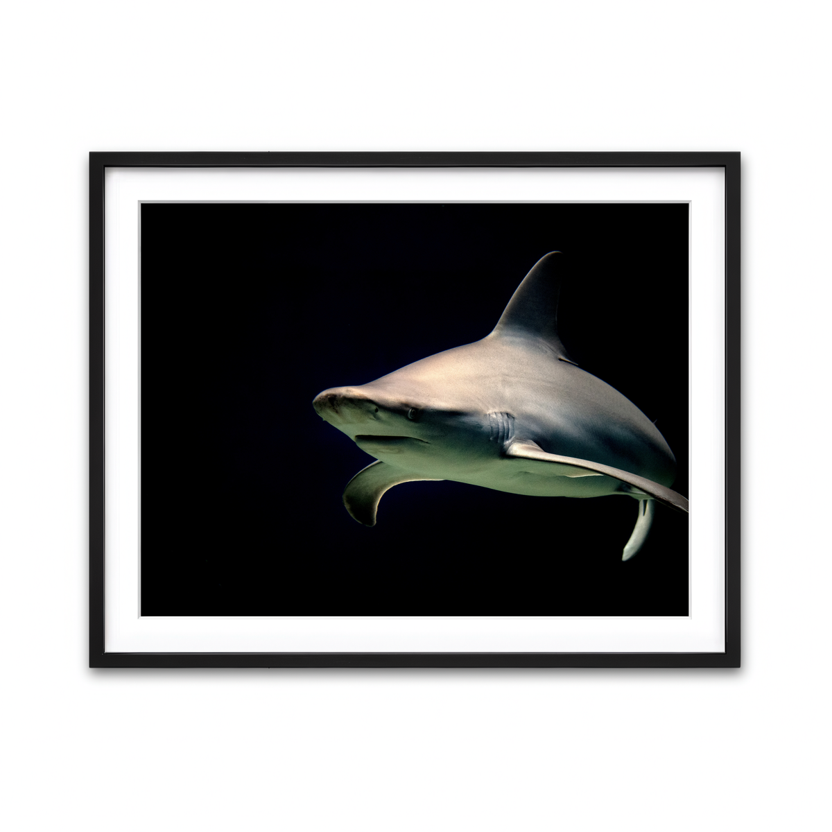 Framed Print 4x3 Black