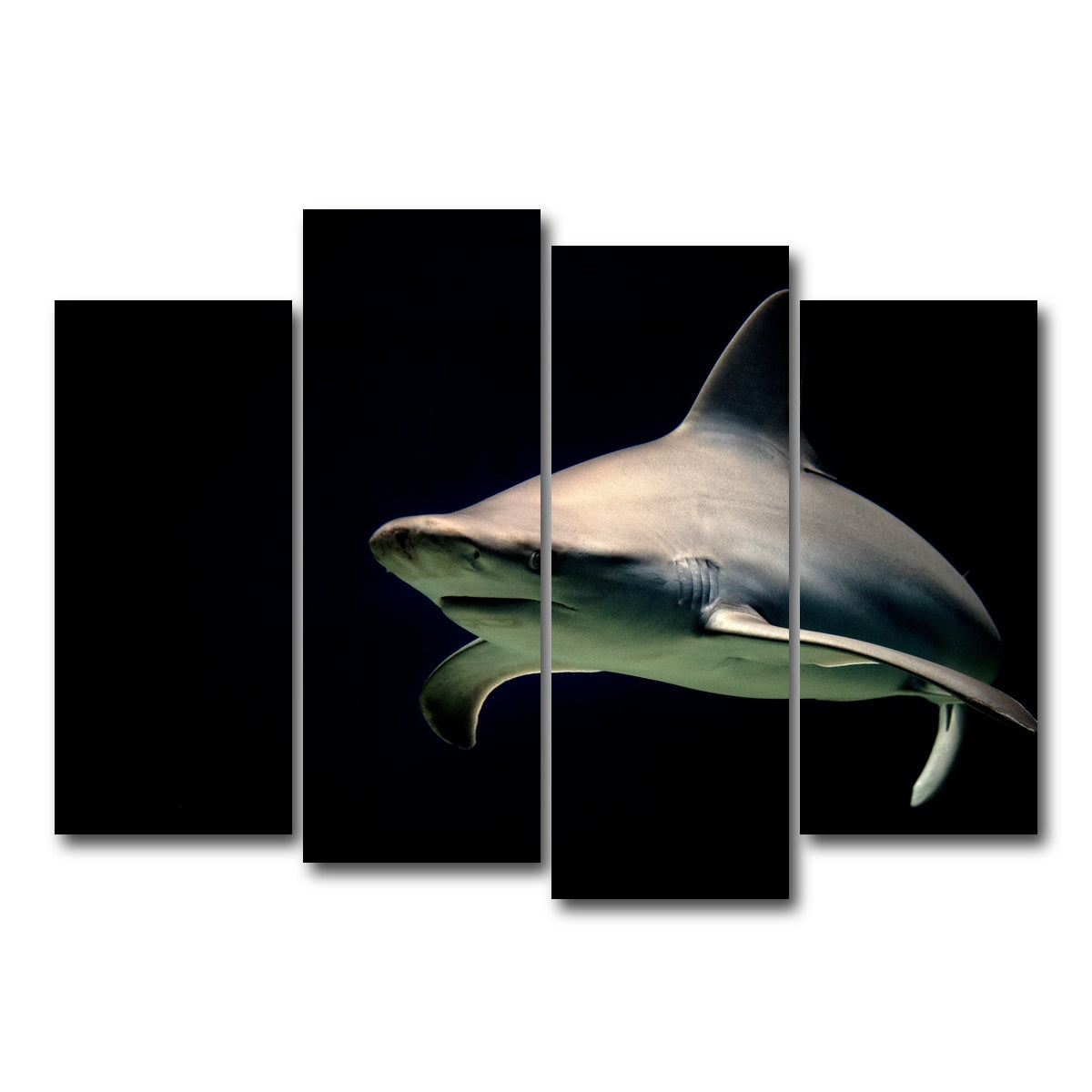 AUTO-MOCKUP WHITE | Bull Shark at night | 4 Piece | Gallery Wrap Canvas | group=4_normal