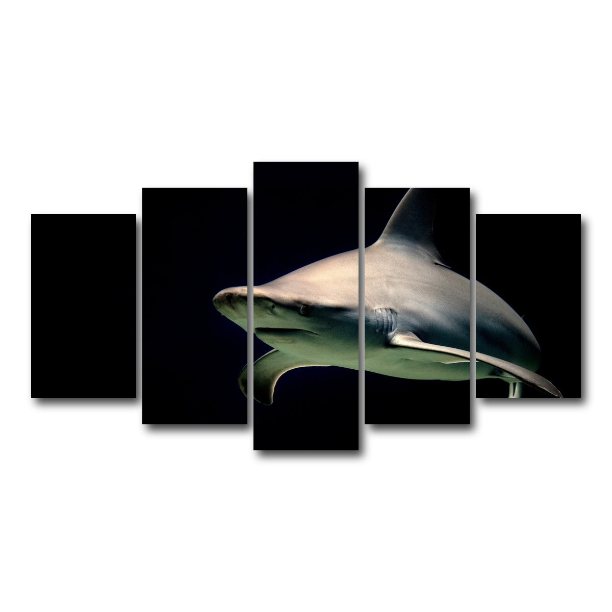 AUTO-MOCKUP WHITE | Bull Shark at night | 5 Piece | Gallery Wrap Canvas | group=5_normal