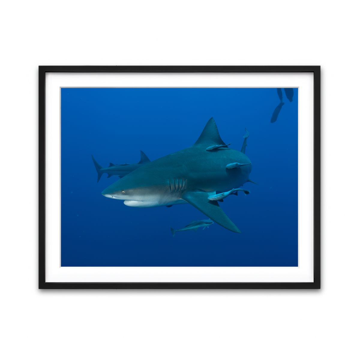 Framed Print 4x3 Black