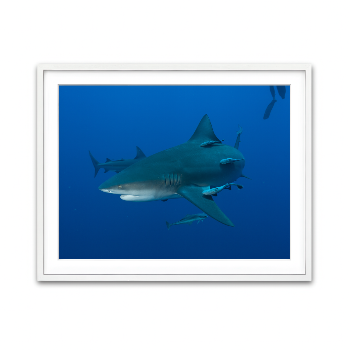 Framed Print 4x3 White