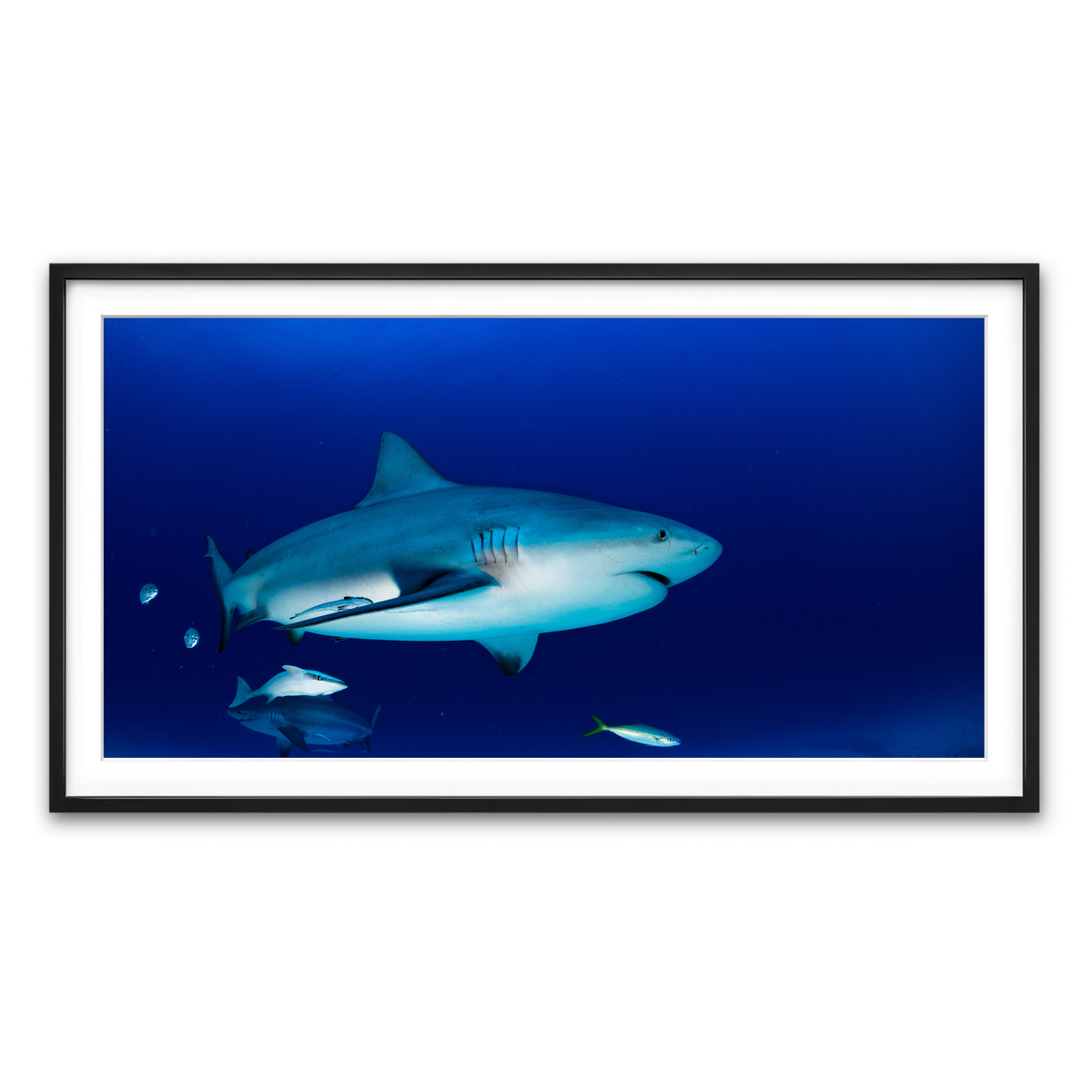 Framed Print 2x1 Black