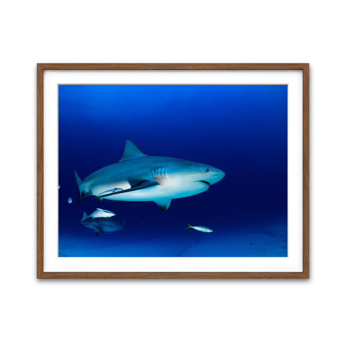 Framed Print 4x3 Walnut