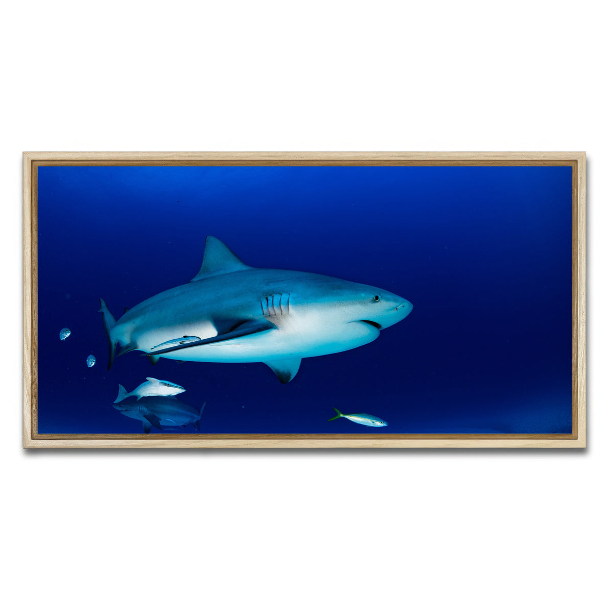 AUTO-MOCKUP WHITE | Bull shark in the blue ocean | 1 Piece | Natural Framed Canvas | group=2x1