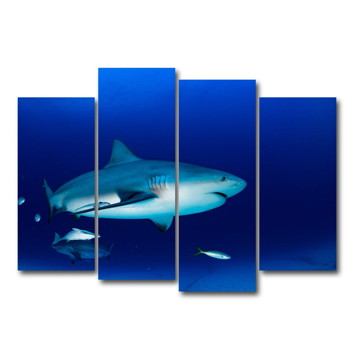 AUTO-MOCKUP WHITE | Bull shark in the blue ocean | 4 Piece | Gallery Wrap Canvas | group=4_normal
