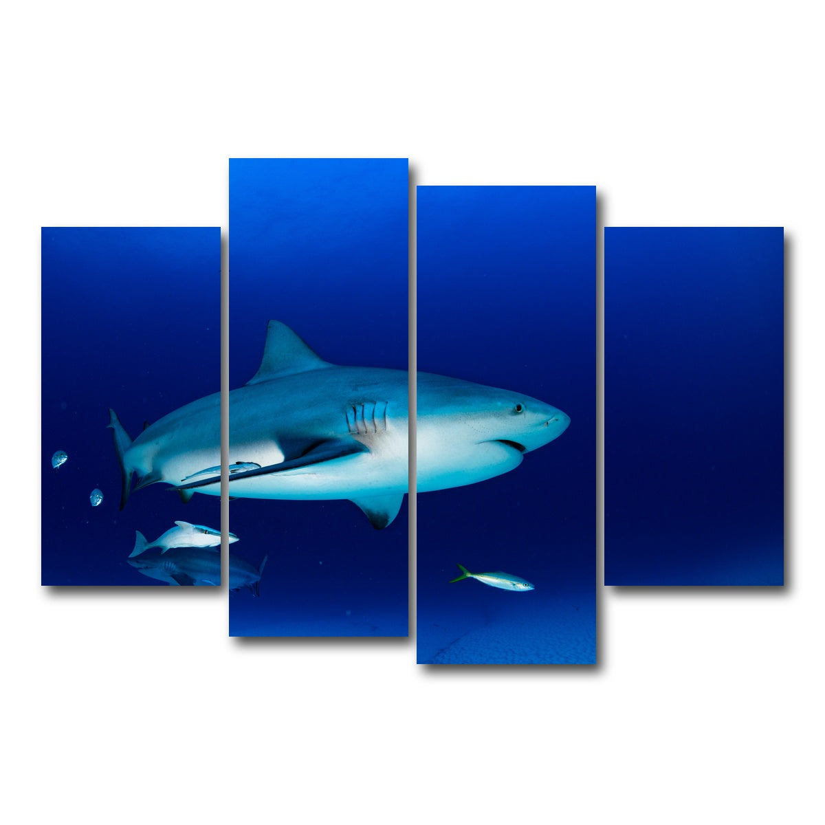 AUTO-MOCKUP WHITE | Bull shark in the blue ocean | 4 Piece | Gallery Wrap Canvas | group=4_short