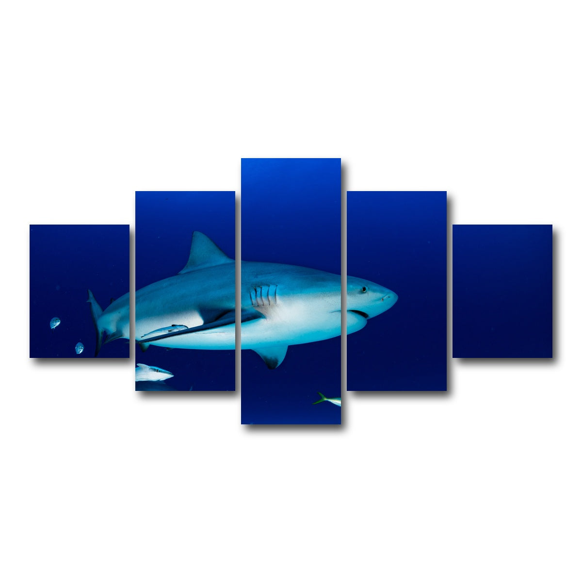 AUTO-MOCKUP WHITE | Bull shark in the blue ocean | 5 Piece | Gallery Wrap Canvas | group=5_short