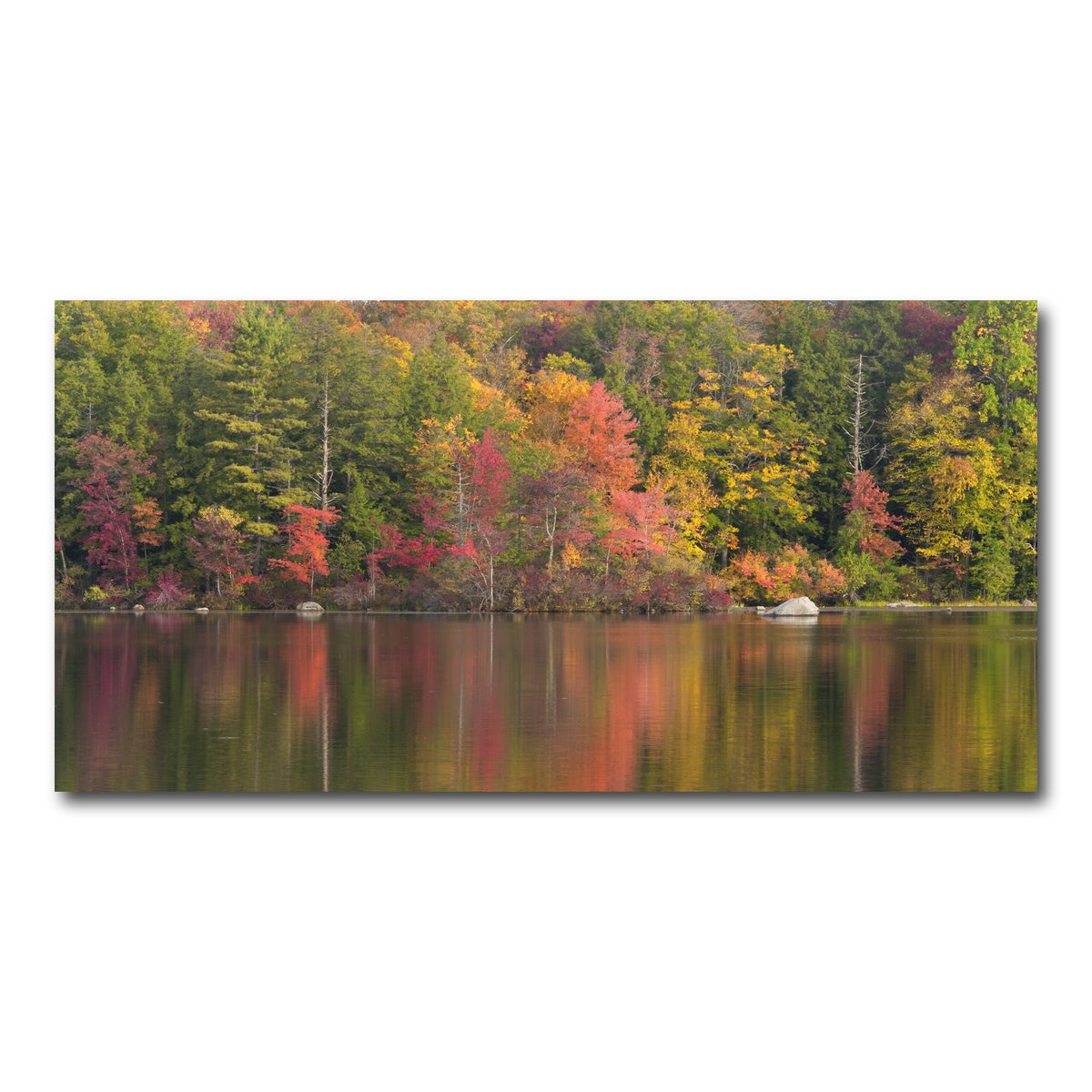 AUTO-MOCKUP WHITE | Burr Pond State Park | 1 Piece | Gallery Wrap Canvas | group=2x1