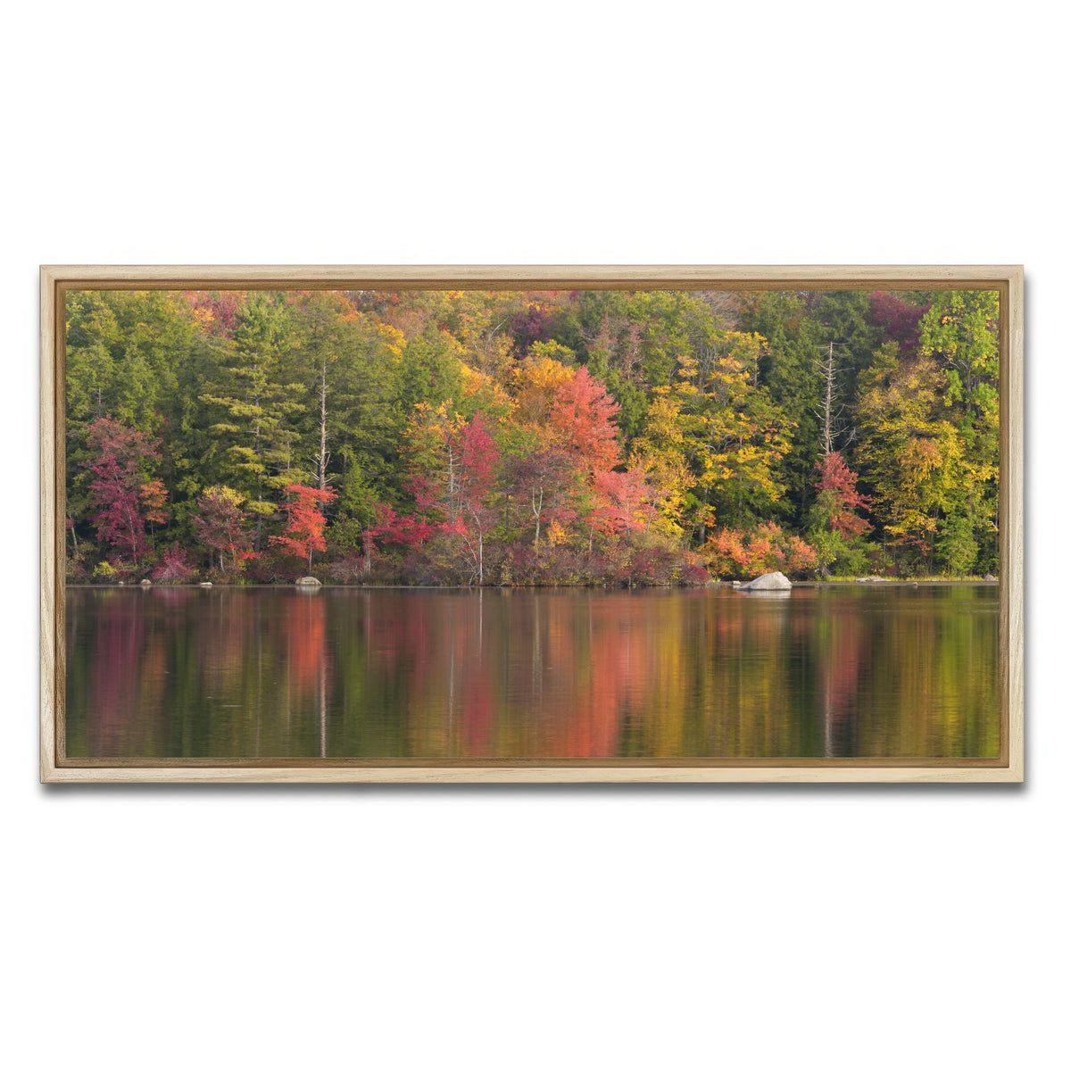 AUTO-MOCKUP WHITE | Burr Pond State Park | 1 Piece | Natural Framed Canvas | group=2x1
