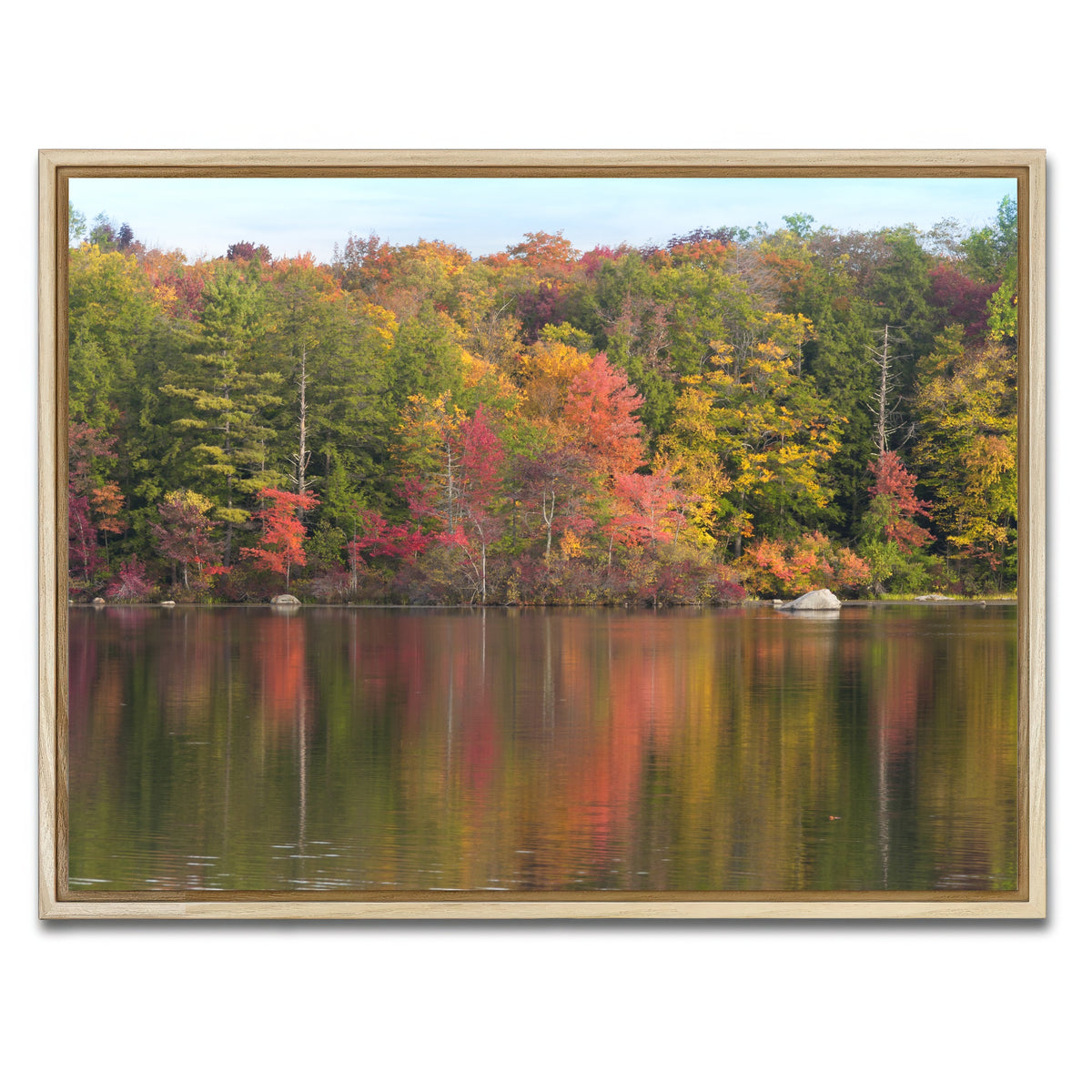 AUTO-MOCKUP WHITE | Burr Pond State Park | 1 Piece | Natural Framed Canvas | group=4x3