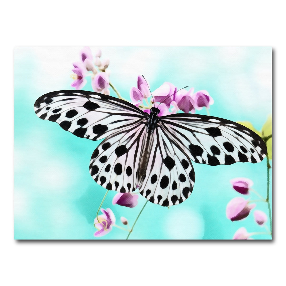 AUTO-MOCKUP WHITE | Butterfly Wall Art | 1 Piece | Gallery Wrapped | group=4x3