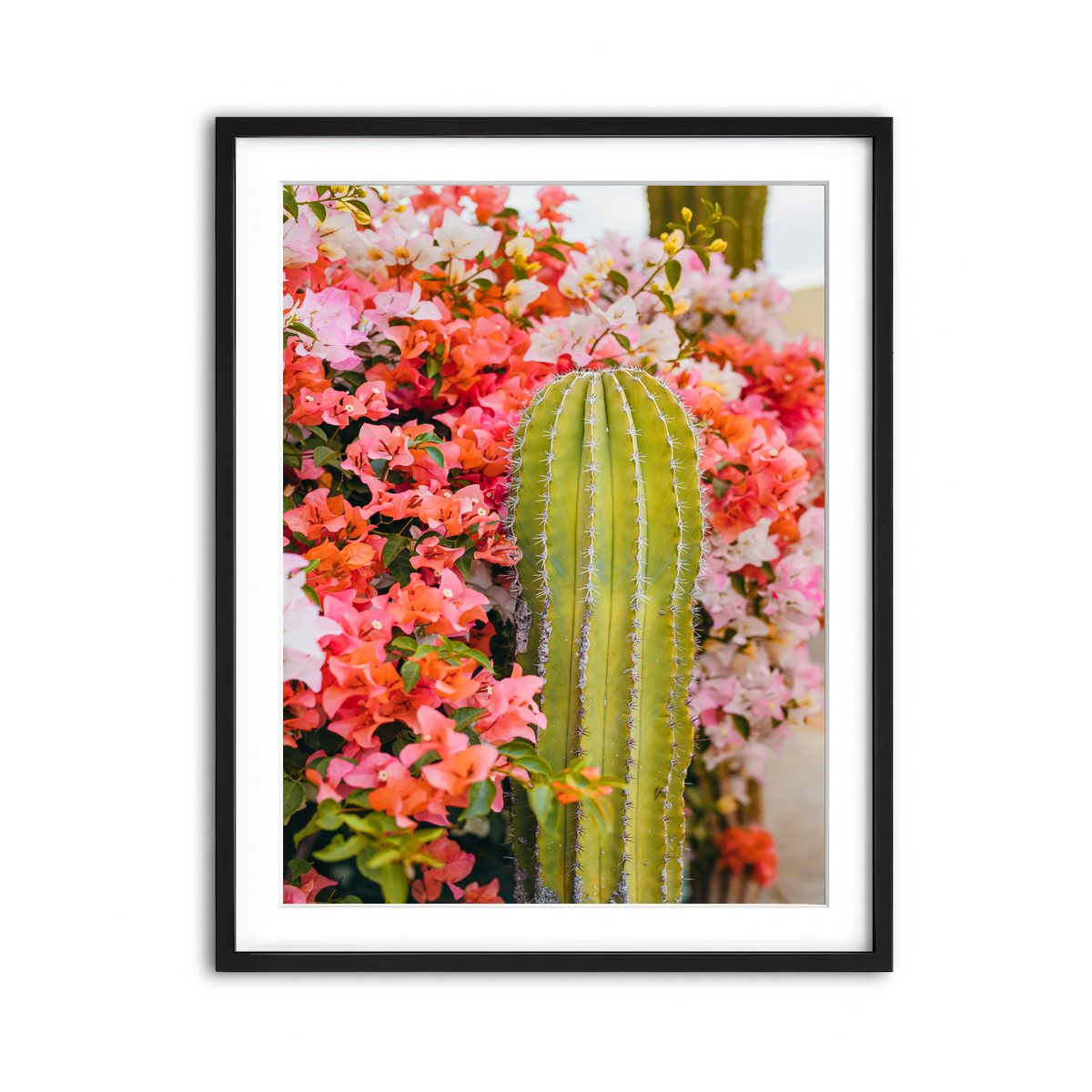 Framed Print 3x4 Black