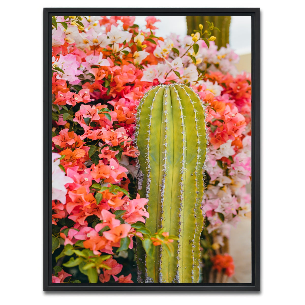 AUTO-MOCKUP WHITE | Cactus & Flowers | 1 Piece | Black Framed Canvas | group=3x4