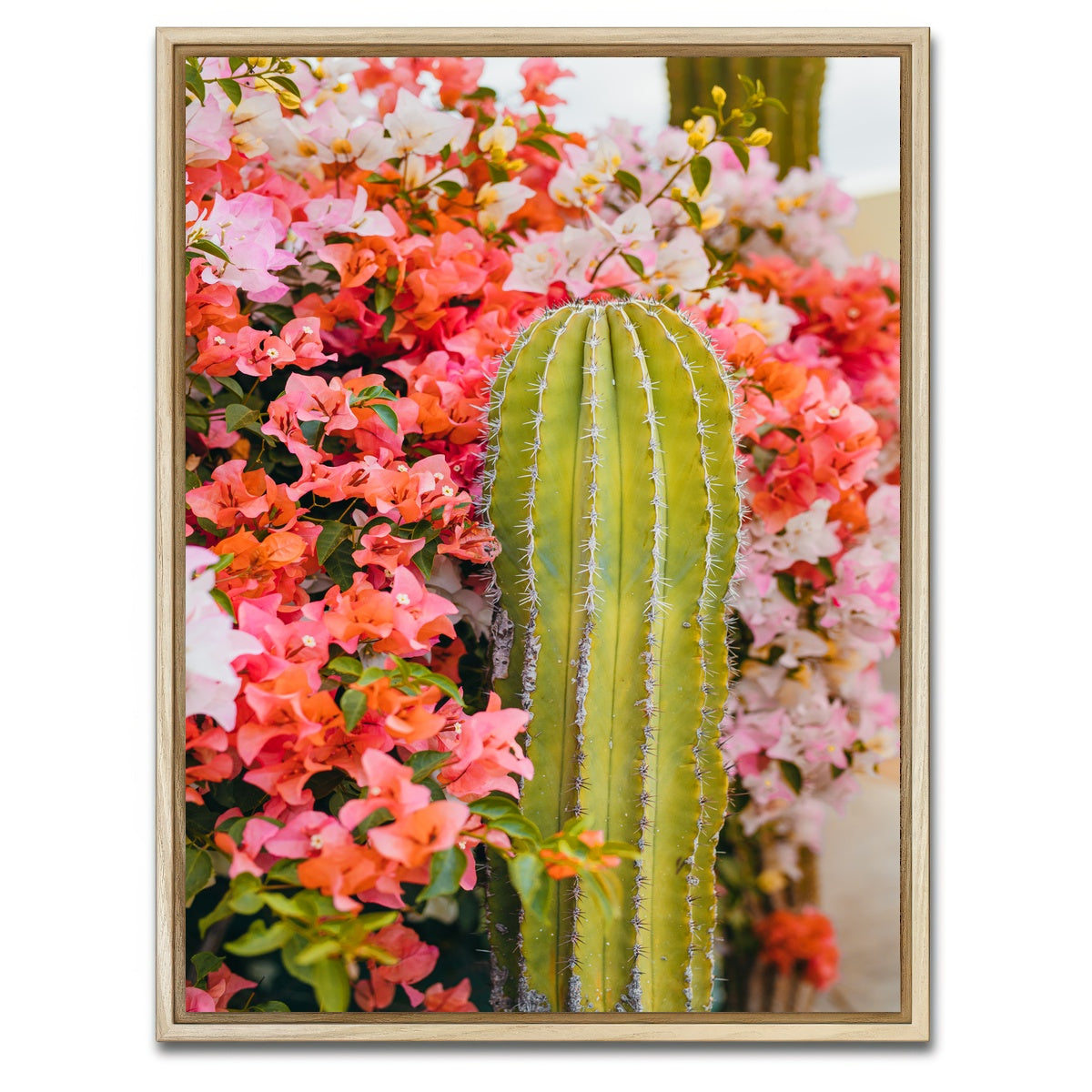 AUTO-MOCKUP WHITE | Cactus & Flowers | 1 Piece | Natural Framed Canvas | group=3x4
