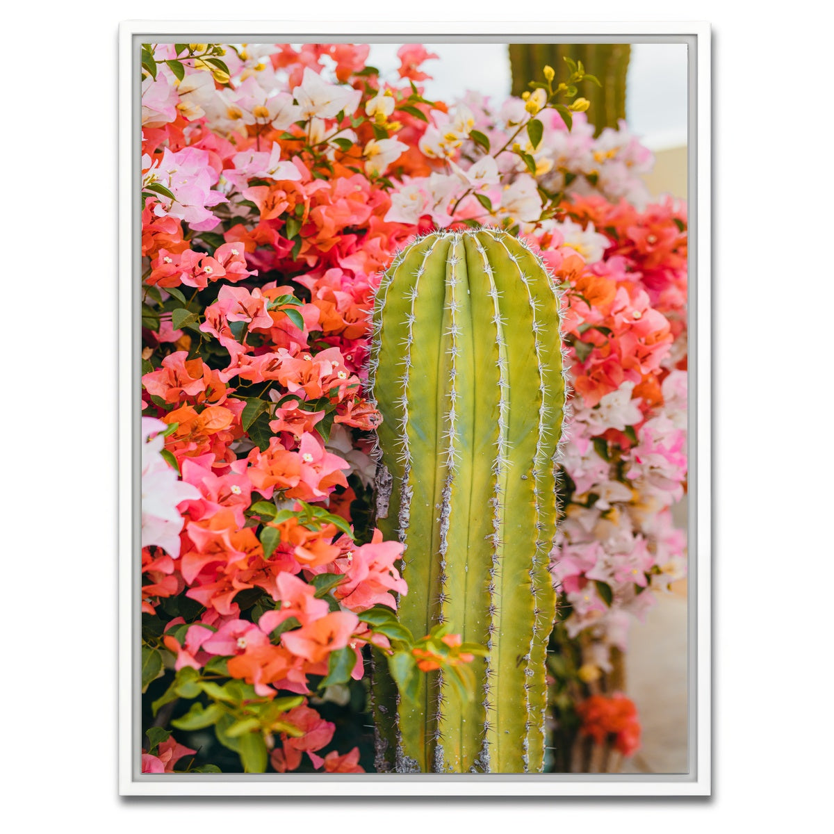 AUTO-MOCKUP WHITE | Cactus & Flowers | 1 Piece | White Framed Canvas | group=3x4